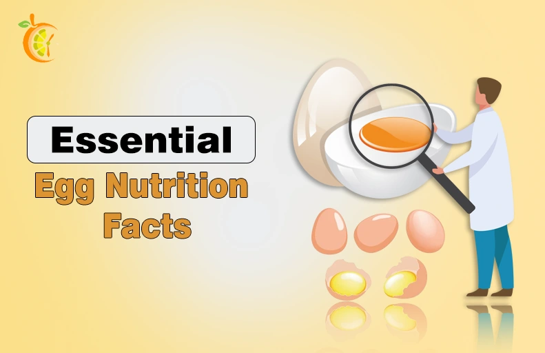 10 Essential Egg Nutrition Facts You Need to Know Essential Egg Nutrition Facts